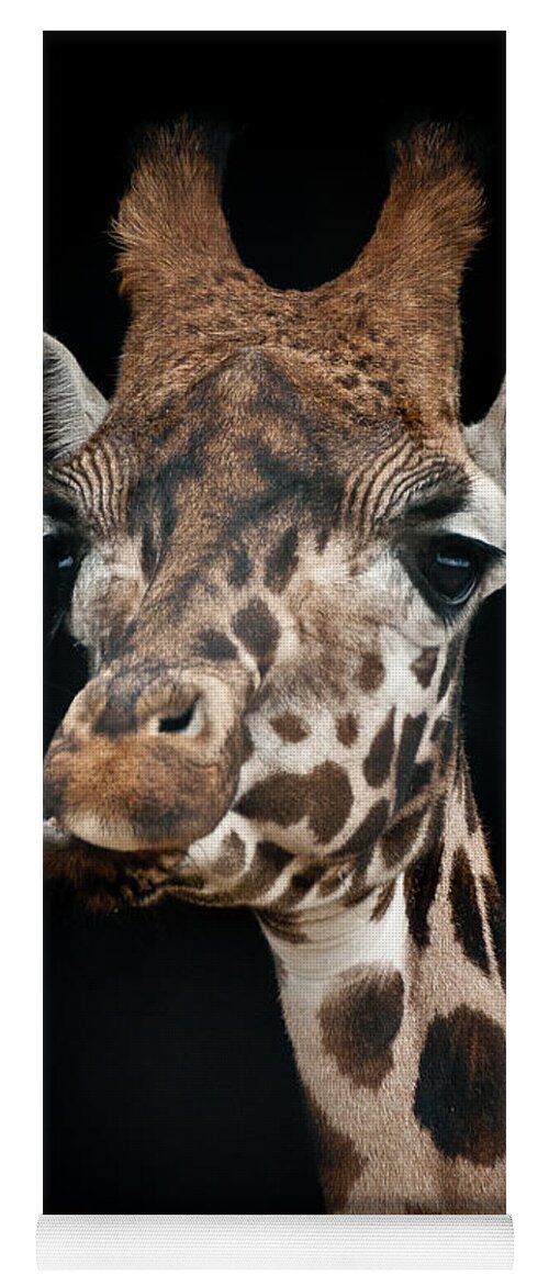 Animal Yoga Mat featuring the photograph Giraffe by Chris Boulton