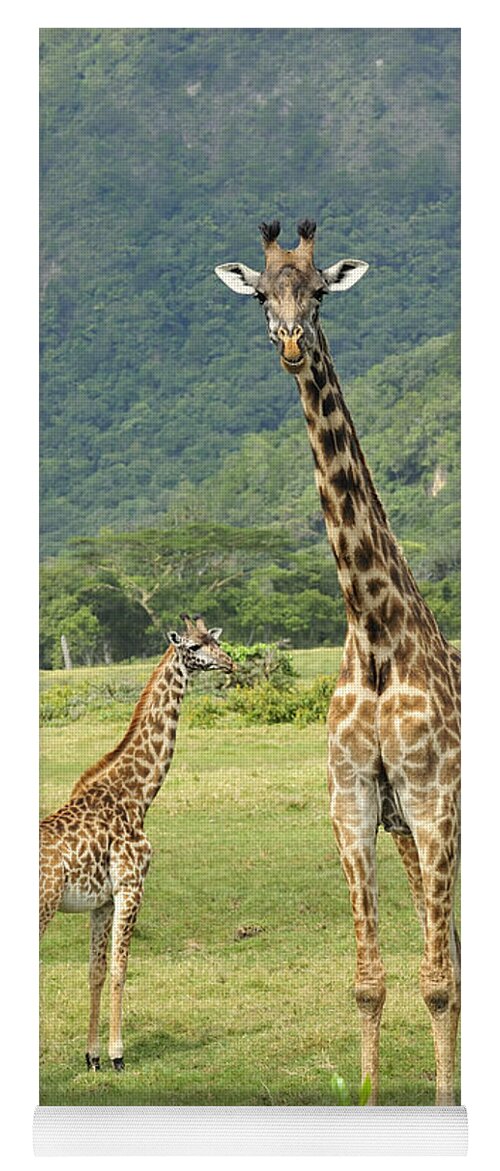 Thomas Marent Yoga Mat featuring the photograph Giraffe Mother And Calftanzania by Thomas Marent