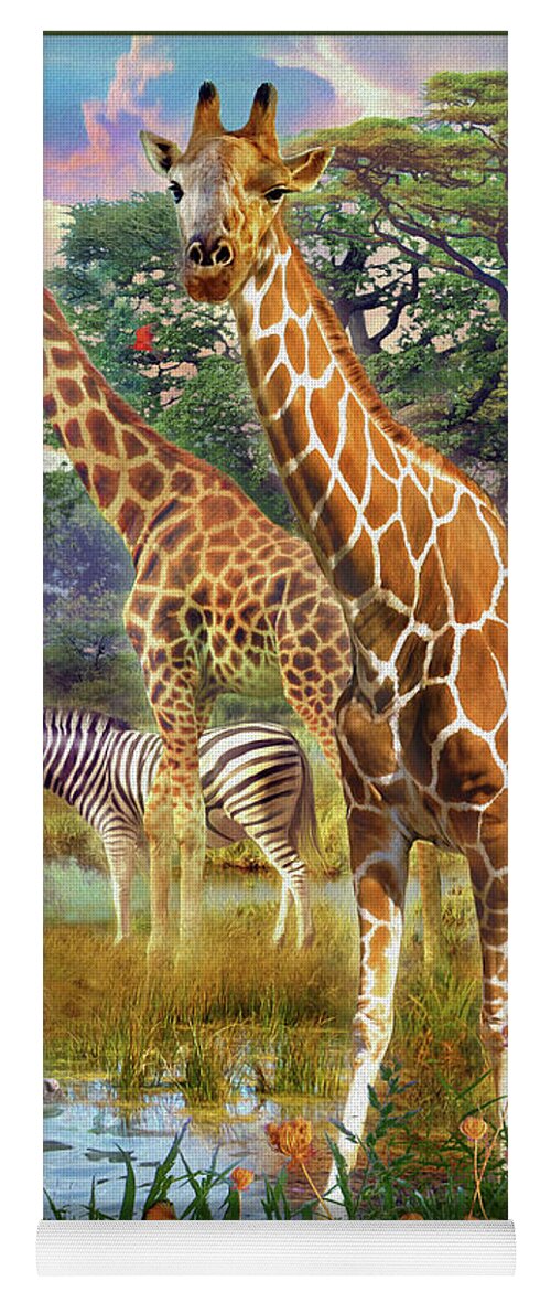 Giraffe Yoga Mat featuring the drawing Giraffes by MGL Meiklejohn Graphics Licensing