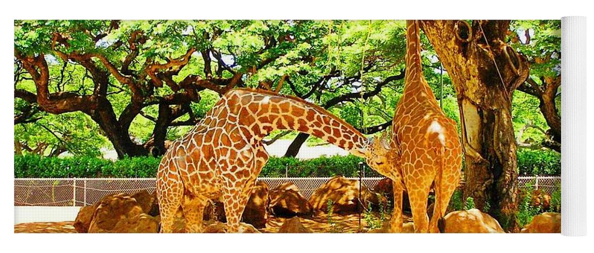 Giraffe Yoga Mat featuring the photograph Giraffes by Oleg Zavarzin