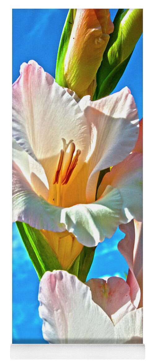 Gladiolus Yoga Mat featuring the photograph Gladiolus by Heiko Koehrer-Wagner