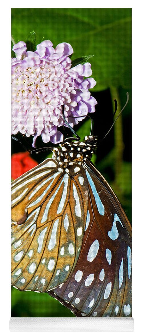 Nature Yoga Mat featuring the photograph Glassy Blue Tiger Butterfly by Millard H. Sharp