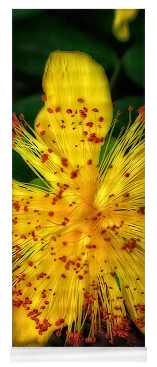 Flower Yoga Mat featuring the photograph Yellow and Red in a Sea of Green by Doc Braham