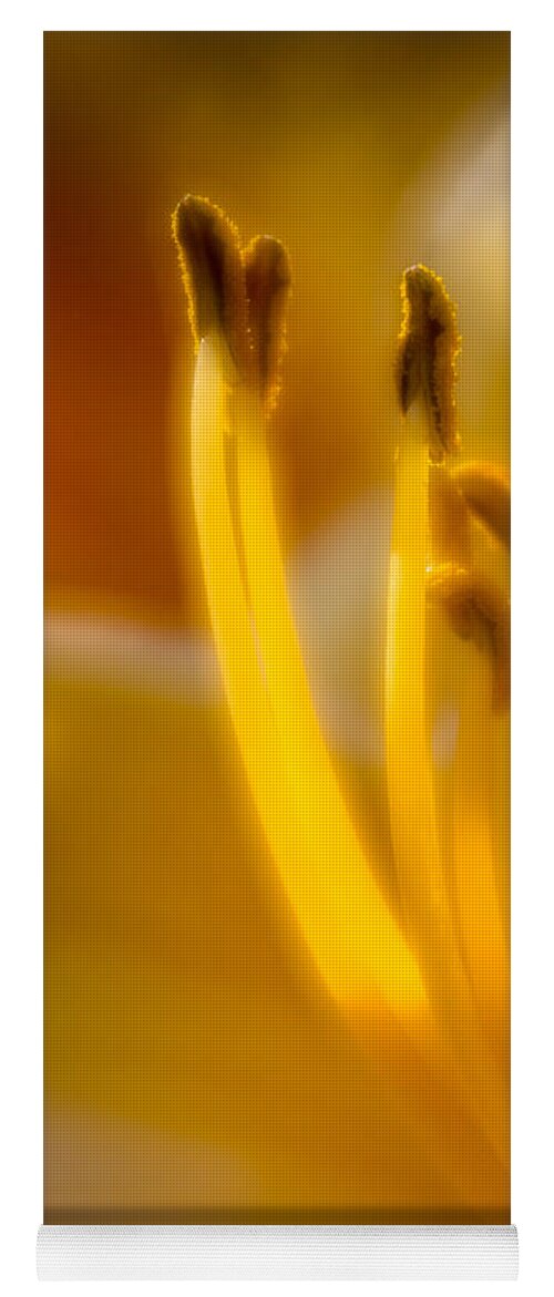 Flower Yoga Mat featuring the photograph Glowing Stamen by Greg Nyquist
