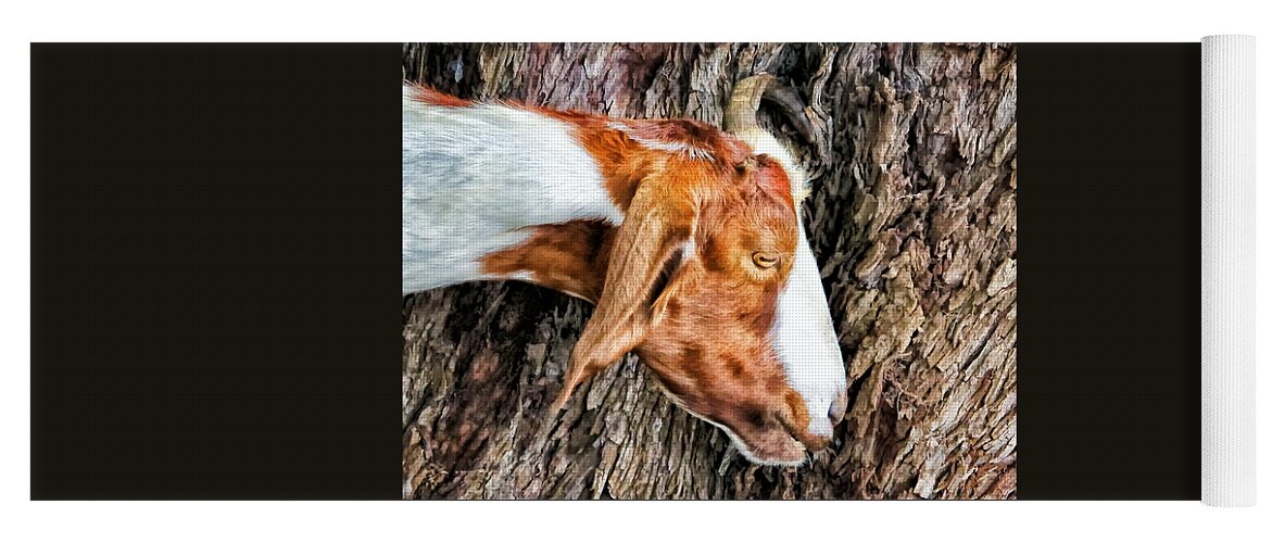 Goat Yoga Mat featuring the photograph Goat 3 by Dawn Eshelman