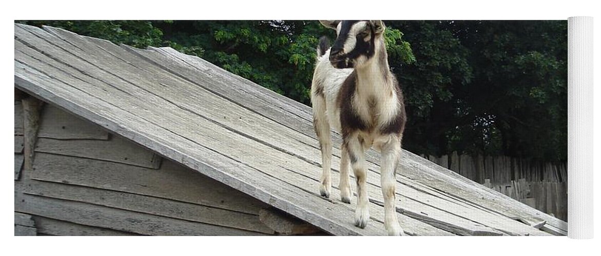 Goat Yoga Mat featuring the photograph Goat on the Roof by Kerri Mortenson