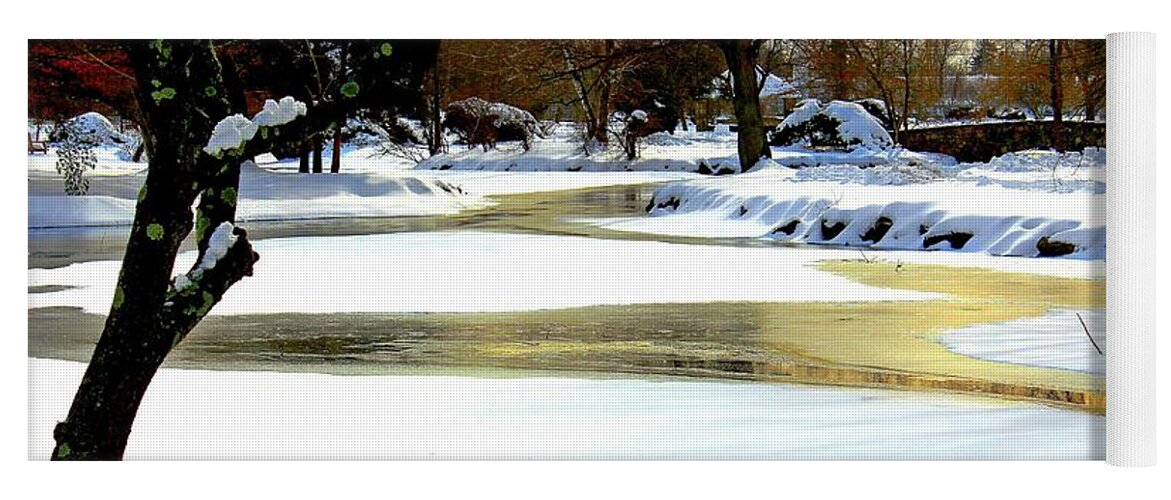 Pond Yoga Mat featuring the photograph Golden Pond Reflections by Judy Palkimas