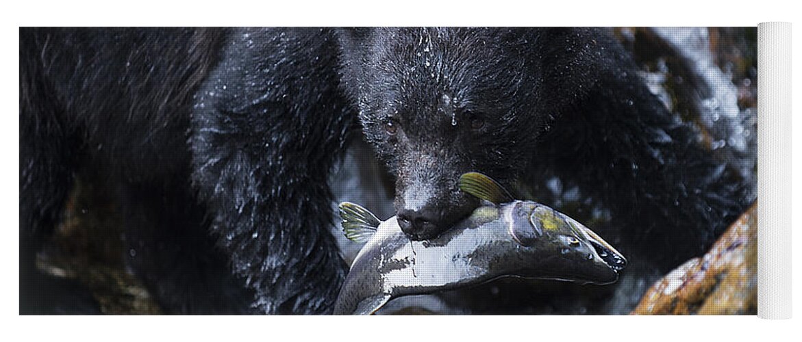 Bear Yoga Mat featuring the photograph Gone Fishing by Bill Cubitt