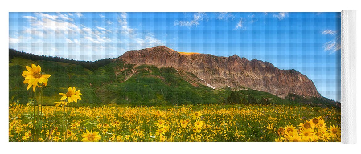 Colorado Landscapes Yoga Mat featuring the photograph Gothic Meadow by Darren White