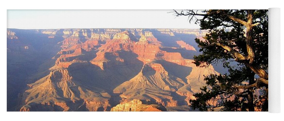 Grand Canyon Yoga Mat featuring the photograph Grand Canyon 63 by Will Borden