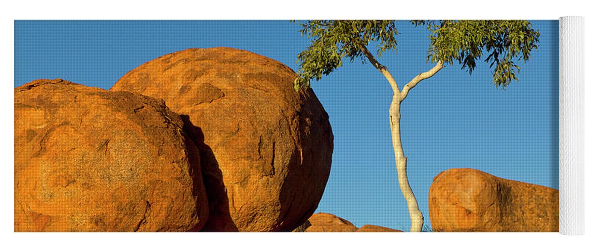 00477478 Yoga Mat featuring the photograph Trees and Devils Marbles by Yva Momatiuk John Eastcott