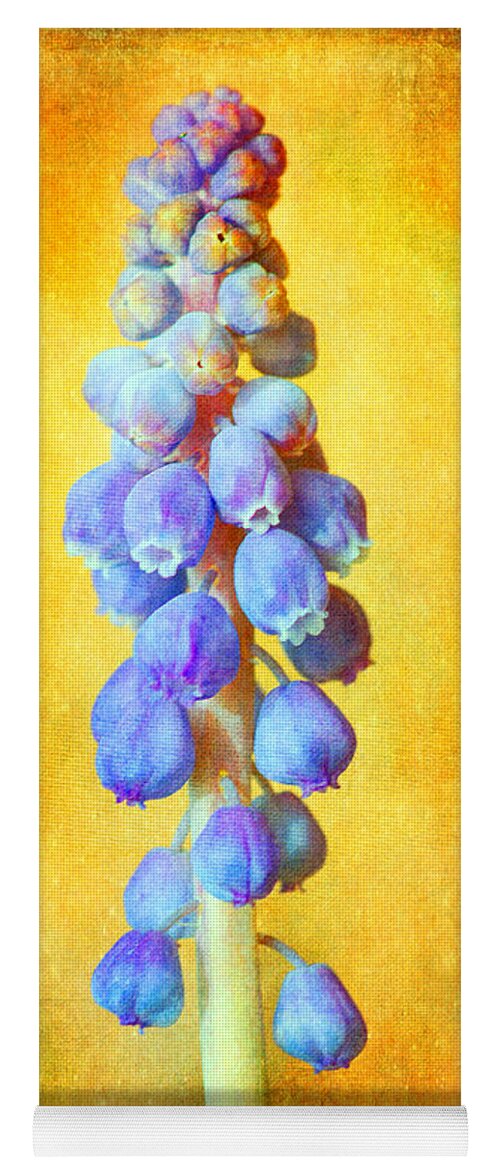 Grape Hyacinth Yoga Mat featuring the photograph Grape Hyacinth by Bellesouth Studio