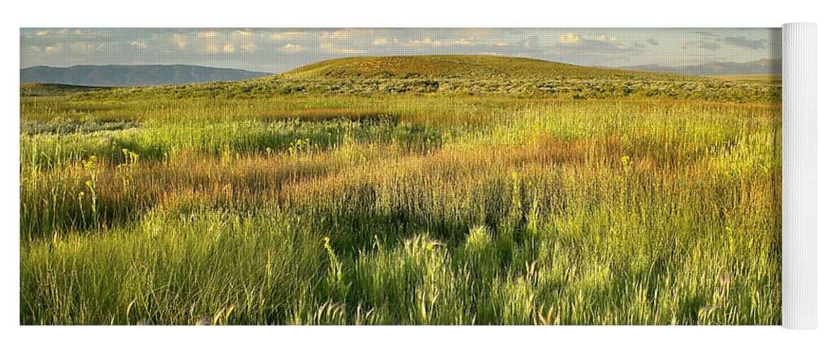 00175296 Yoga Mat featuring the photograph Grasslands Arapaho NWR by Tim Fitzharris