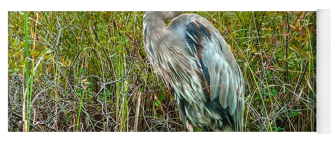 Heron Yoga Mat featuring the photograph Great blue heron waiting for supper by Eti Reid