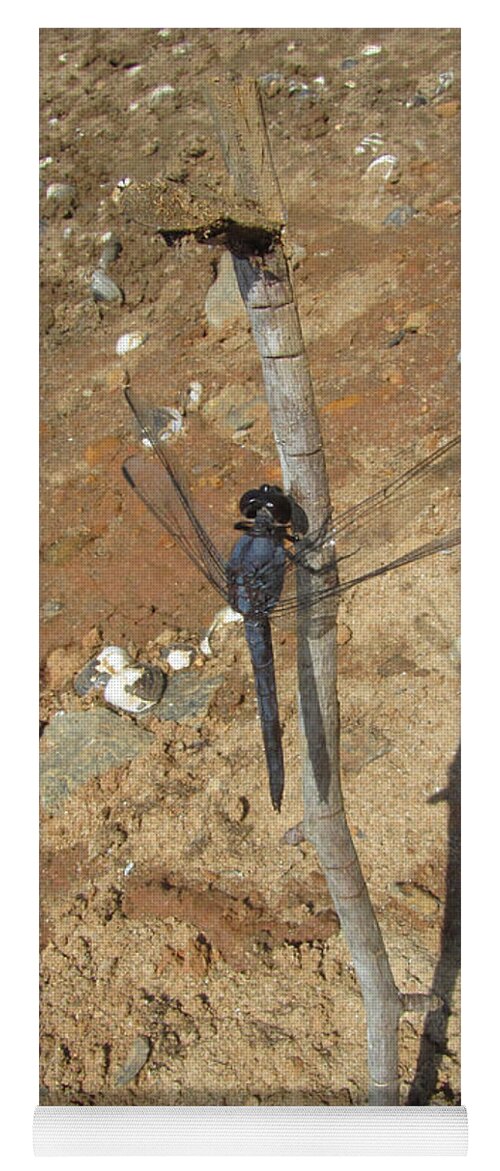 Insect Yoga Mat featuring the photograph Slaty Skimmer Dragonfly Shadow by Donna Brown