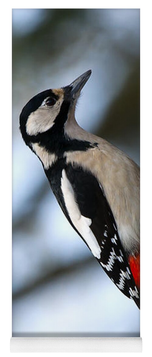 Great Spotted Woodpecker Yoga Mat featuring the photograph Great Spotted Woodpecker by Torbjorn Swenelius