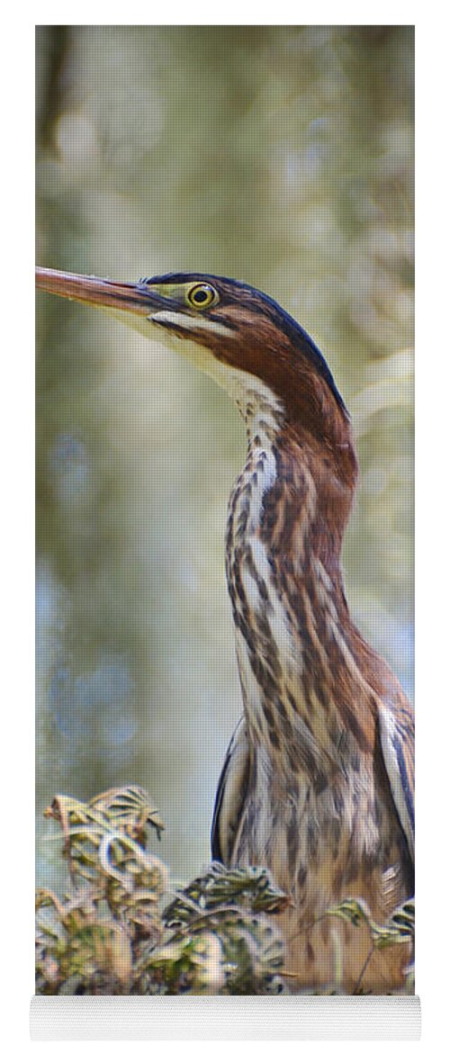 Birds Yoga Mat featuring the photograph Green Backed Heron In An Oak Tree by Kathy Baccari