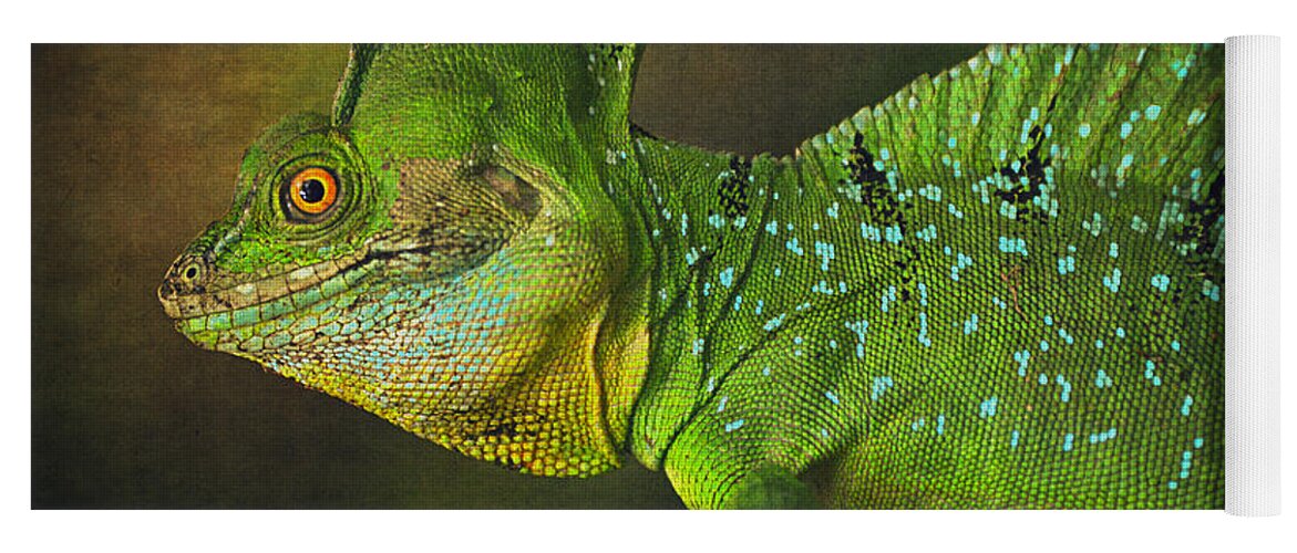 Lizard Yoga Mat featuring the photograph Green Basilisk by Maria Angelica Maira