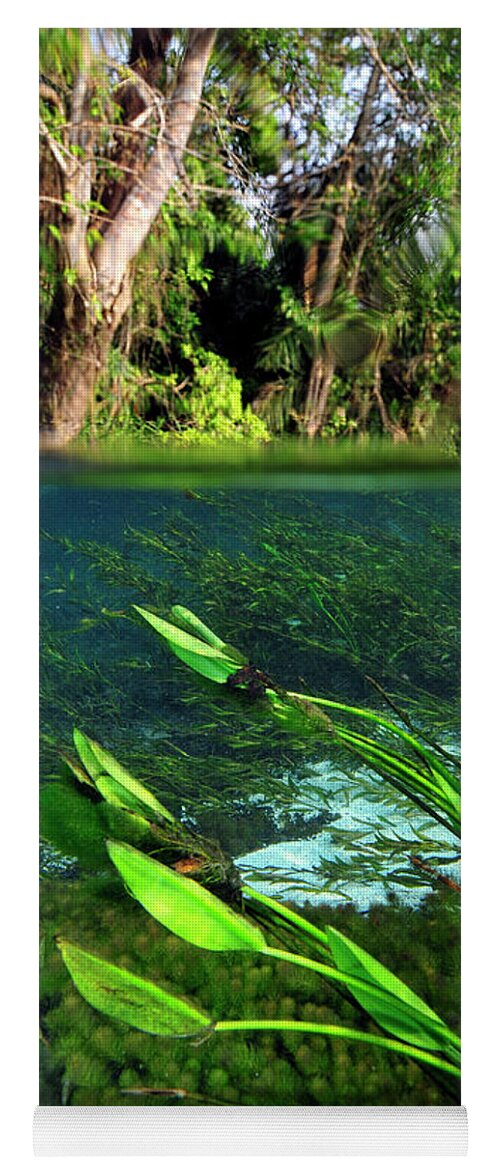 Underwater Yoga Mat featuring the photograph Green flow by Artesub