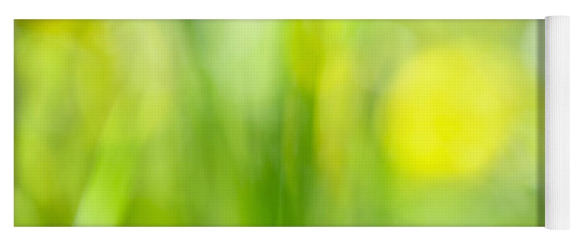 Green Yoga Mat featuring the photograph Green grass with yellow flowers abstract by Elena Elisseeva
