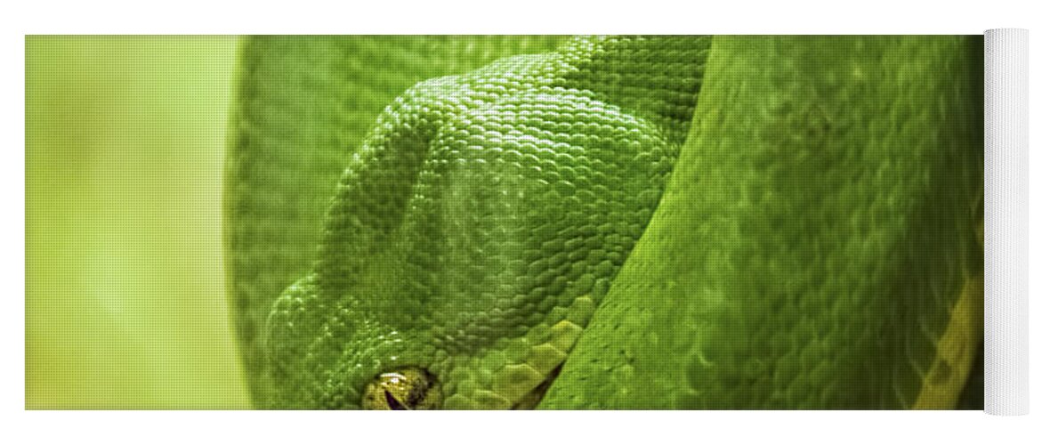 Pennysprints Yoga Mat featuring the photograph Green Tree Python by Penny Lisowski