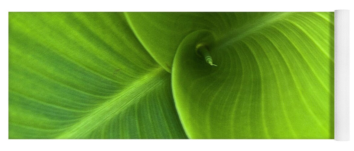 Heiko Yoga Mat featuring the photograph Green Twin Leaves by Heiko Koehrer-Wagner