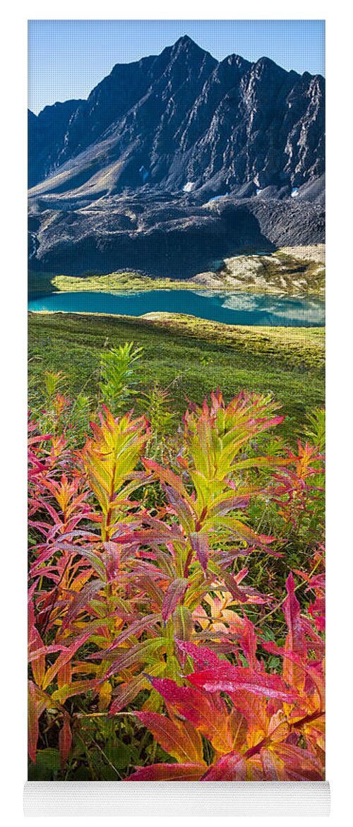 Alaska Yoga Mat featuring the photograph Grizzly Bear Fireweed by Tim Newton