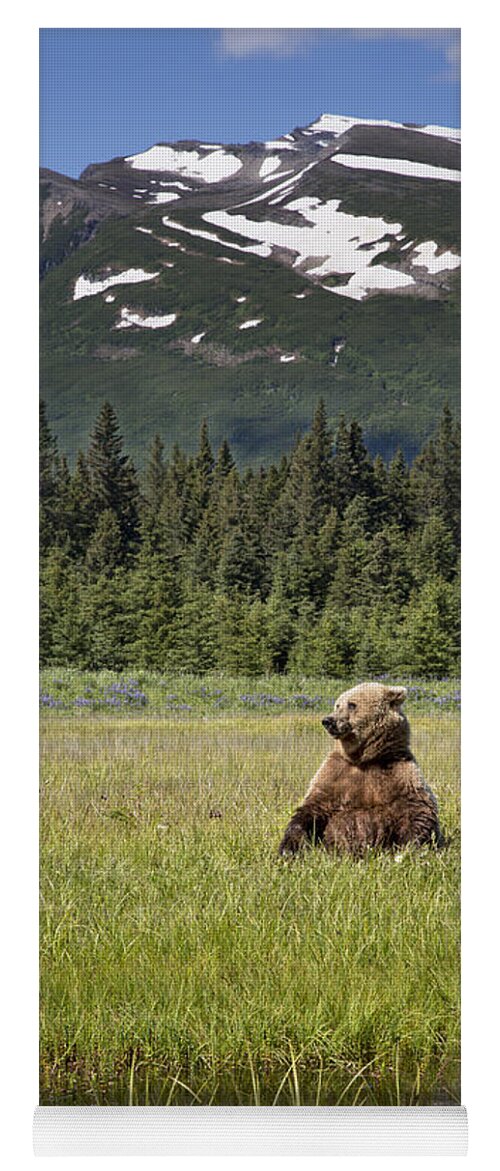 Richard Garvey-williams Yoga Mat featuring the photograph Grizzly Bear In Meadow Lake Clark Np by Richard Garvey-Williams
