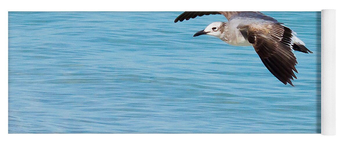 susan Molnar Yoga Mat featuring the photograph Gull at Lido Beach III by Susan Molnar