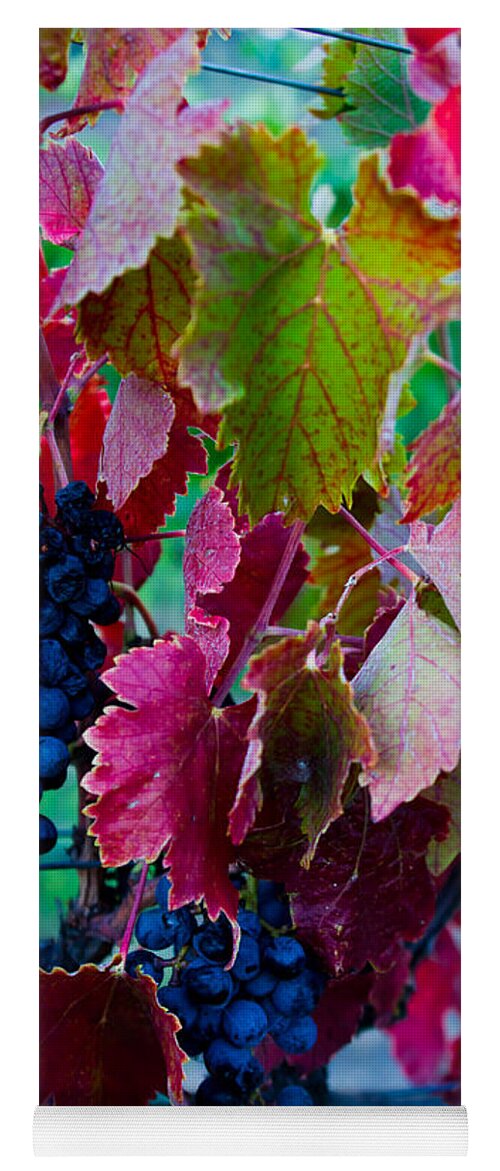 Grapes Yoga Mat featuring the photograph Hanging in there by Kent Nancollas