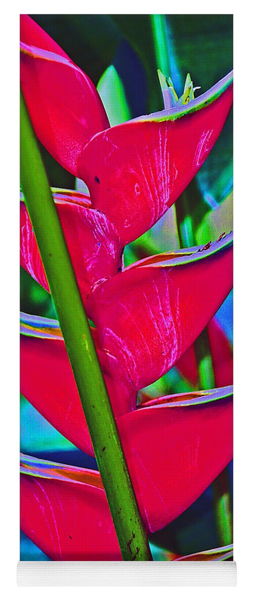 Heliconia Yoga Mat featuring the photograph Heliconia Abstract by Karen Adams