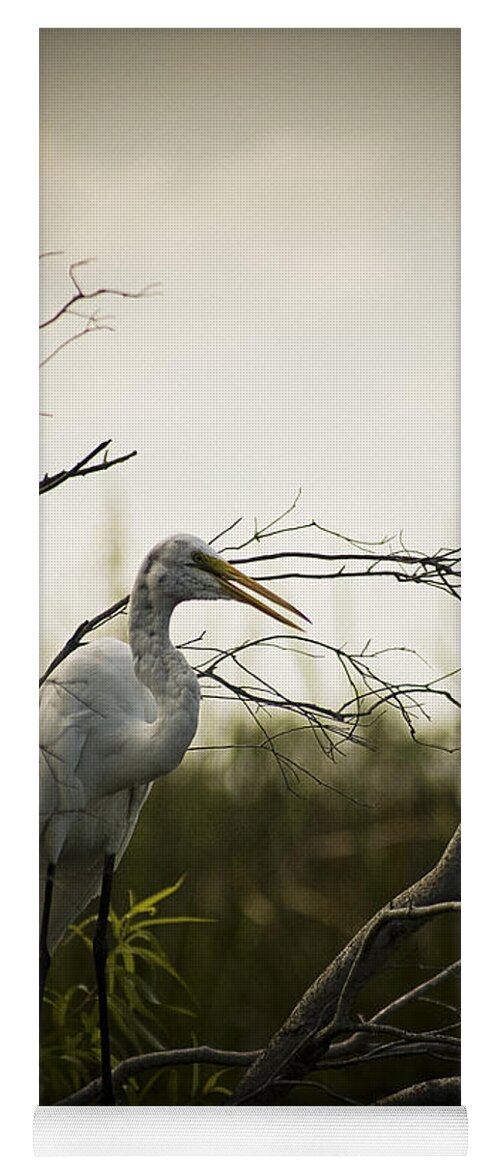 Egret Yoga Mat featuring the photograph Heron At Dusk by Bradley R Youngberg