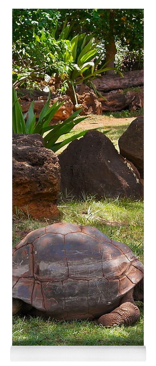 Galapagos Turtle Yoga Mat featuring the photograph Hey - What About Me by Michele Myers