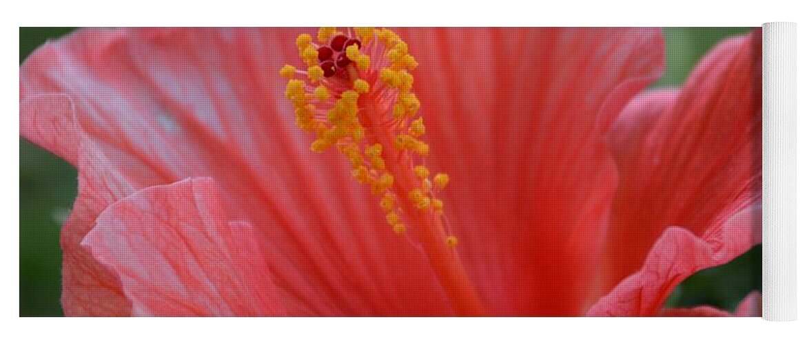 Hibiscus Yoga Mat featuring the photograph Hibiscus Beauty by Linda Bailey