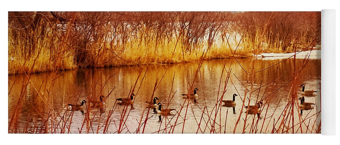 Geese Yoga Mat featuring the photograph Hidden Sanctuary by Shawna Rowe