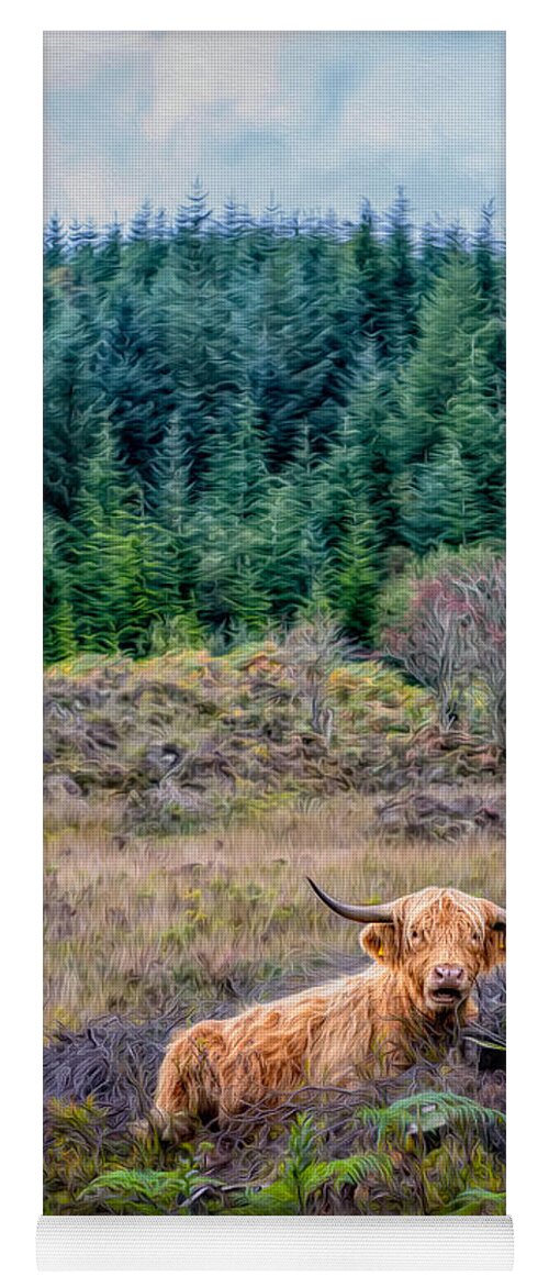 Hdr Yoga Mat featuring the photograph Highland Cow by Adrian Evans
