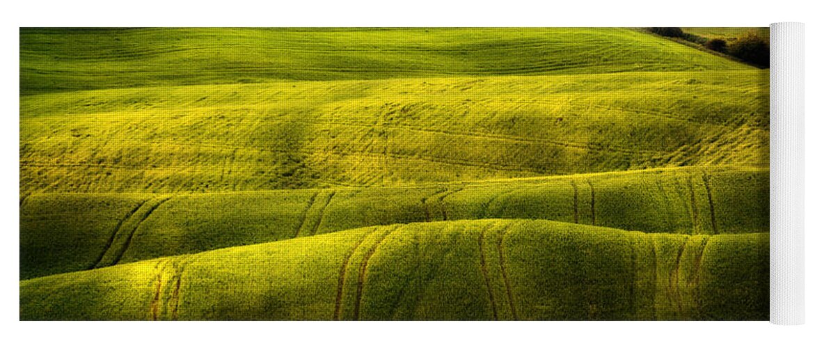 Cypress Yoga Mat featuring the photograph Green fields of Toscany by Jaroslaw Blaminsky