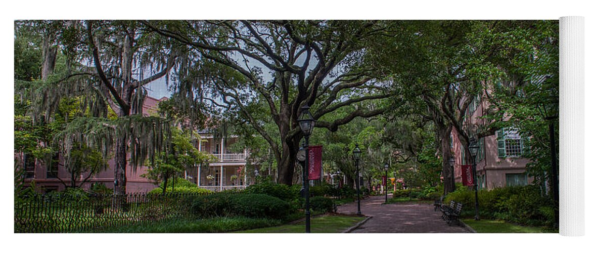 College Of Charleston Yoga Mat featuring the photograph Historic Campus by Dale Powell