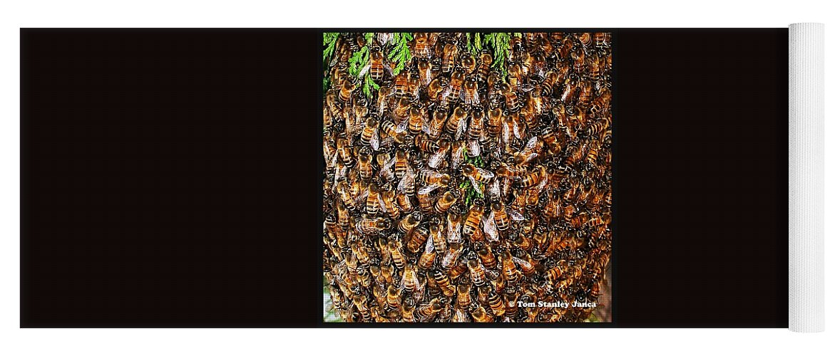 Honey Bee Swarm Yoga Mat featuring the photograph Honey Bee Swarm by Tom Janca
