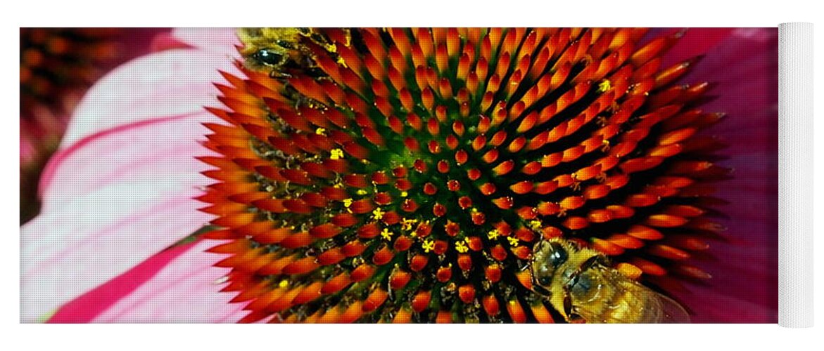 Nature Yoga Mat featuring the photograph Honey Bees and Echinacea Flowers by Amy McDaniel