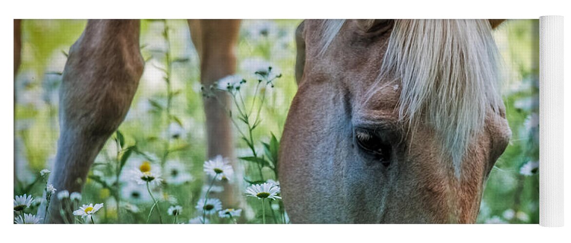 Horse Yoga Mat featuring the photograph Horse and Daisies by Paul Freidlund