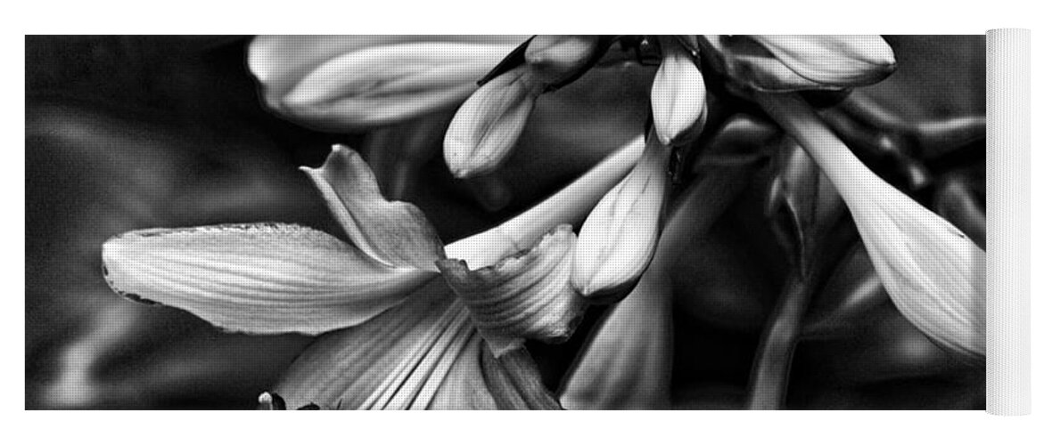 Hosta Flowers Yoga Mat featuring the photograph Hosta Lilies by Bellesouth Studio