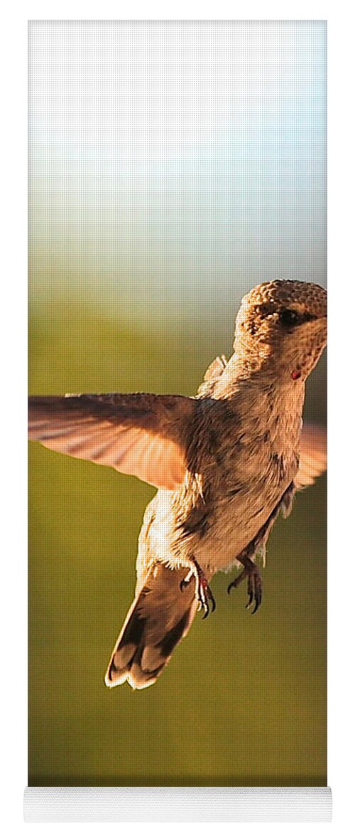 Hummingbird Yoga Mat featuring the photograph Hummingbird Bokeh by Carol Groenen