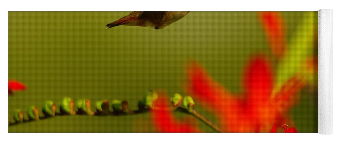 Action Yoga Mat featuring the photograph Hummingbird In A Rush by Jeff Swan