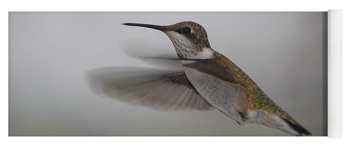 Humming Bird Yoga Mat featuring the photograph Hummingbird by Leticia Latocki