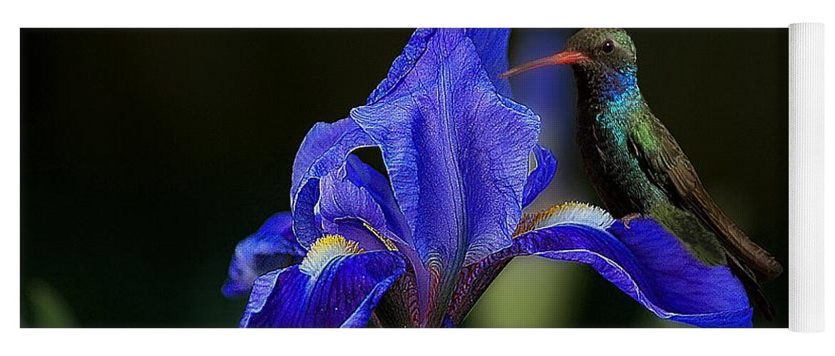 John+kolenberg Yoga Mat featuring the photograph Hummingbird On A Mexican Blue Exotic Flower by John Kolenberg