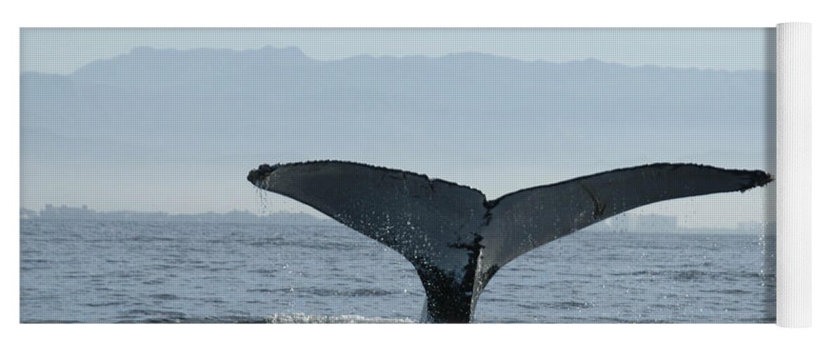 Humpback Whale Yoga Mat featuring the photograph Humpback Whale Tail 3 by Tracy Winter