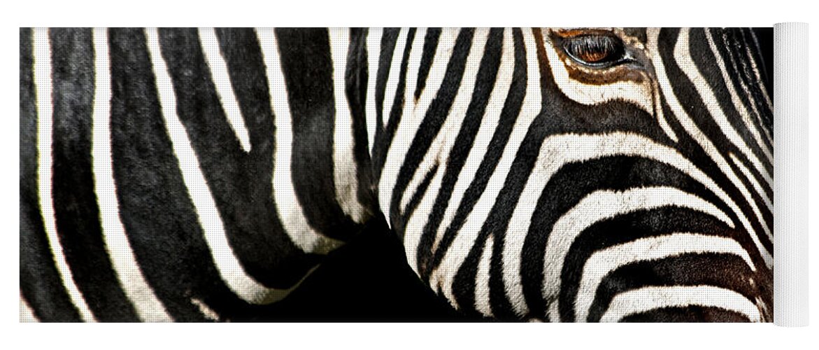 Zebra Yoga Mat featuring the photograph I Am A Zebra by Miroslava Jurcik