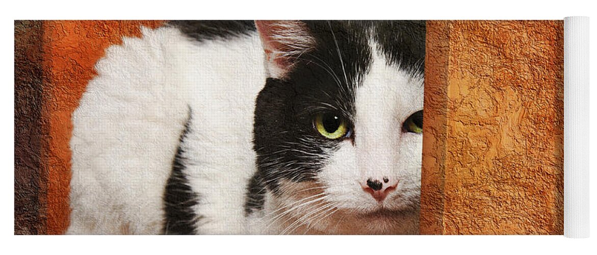 Cat Yoga Mat featuring the photograph I Have My Eye On You by Andee Design