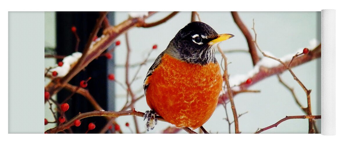 American Robin Yoga Mat featuring the photograph I See Spring by Zinvolle Art